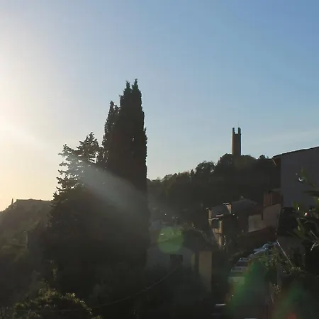 La Casa Del Cardellino San Miniato